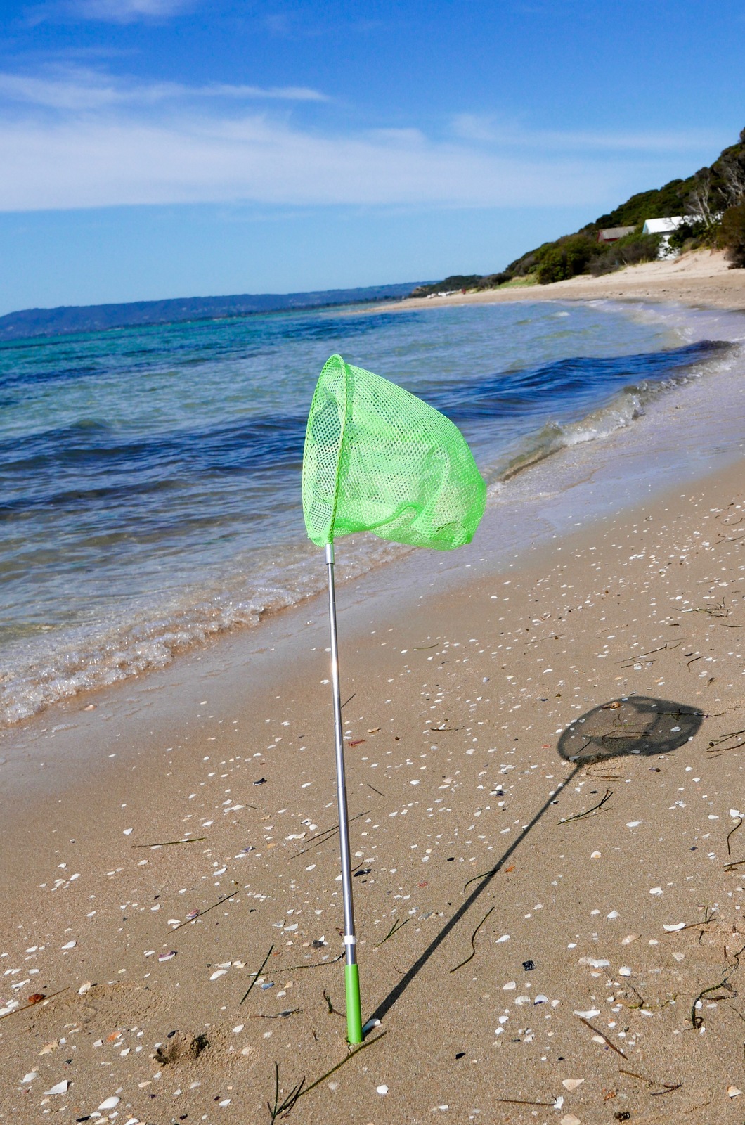 Telescopic Extendable Fishing Net  Buy Kids Toys Online at ihartTOYS