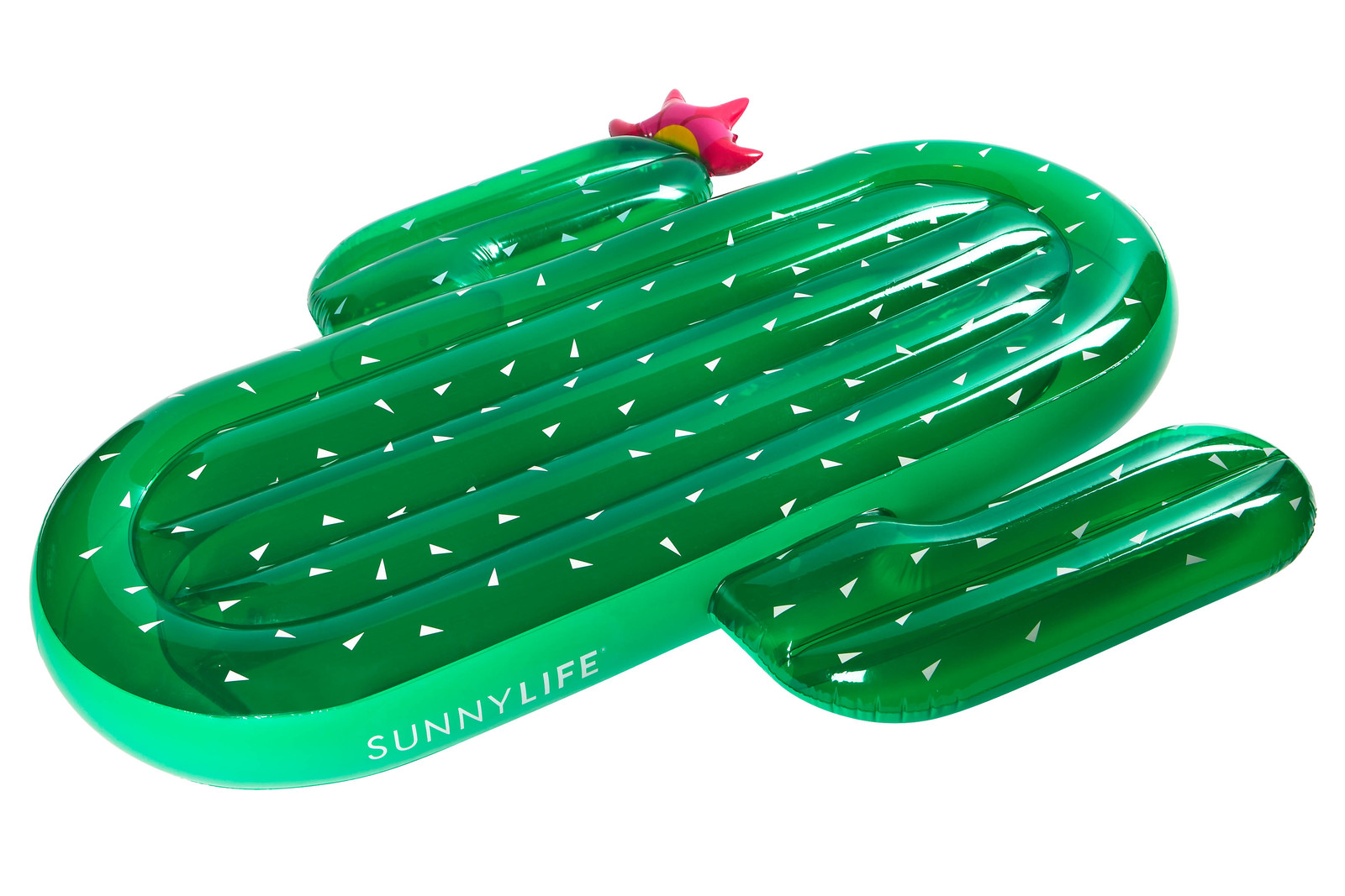 cactus pool float