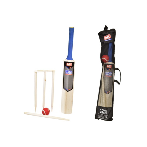 beach cricket set target