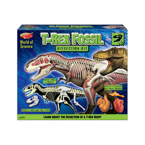 T-Rex Fossil Dissection Kit